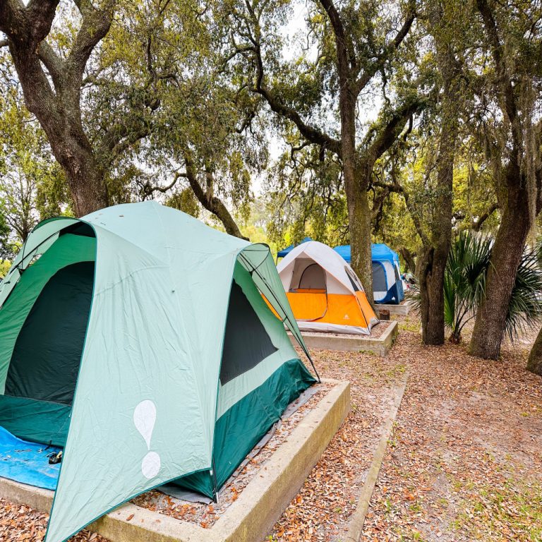 Campsites On Tybee Island 